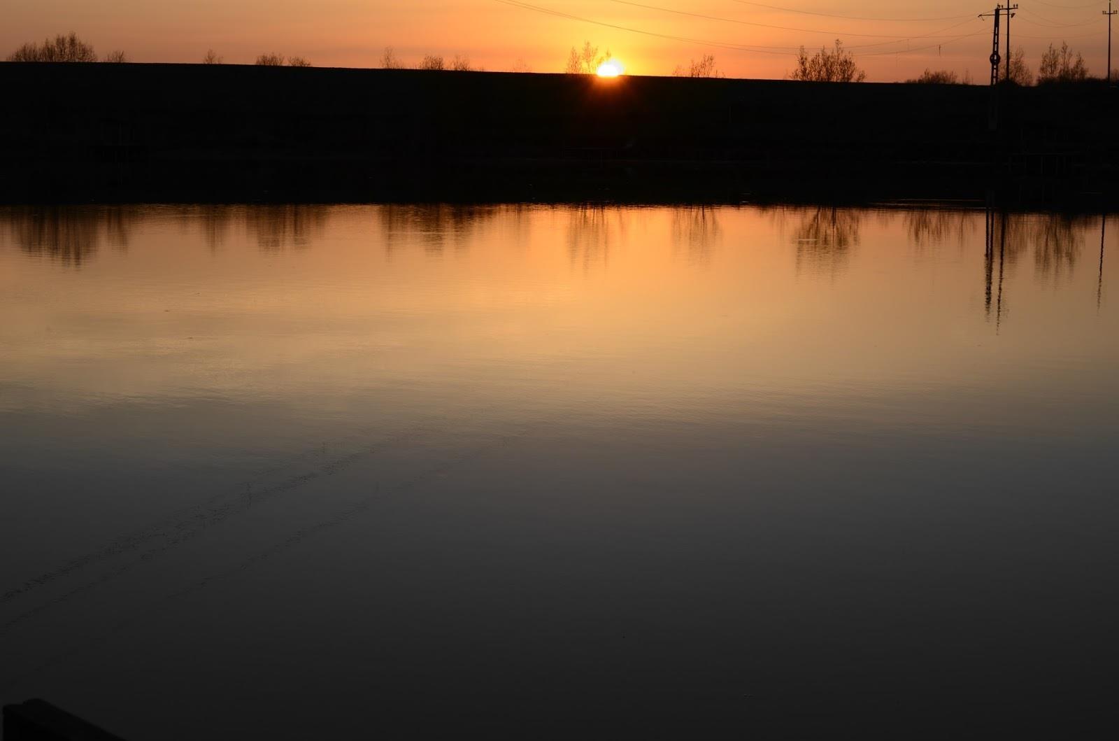 Teslui 2014 - part 1 - image111111111.jpg